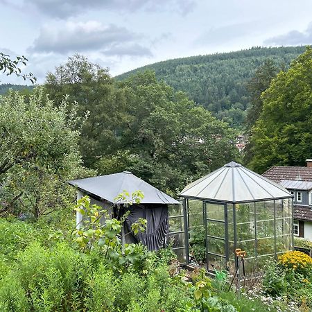 Appartamento Wohn-Eitel Romantik Bad Wildbad Esterno foto