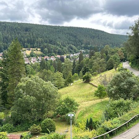 Appartamento Wohn-Eitel Romantik Bad Wildbad Esterno foto