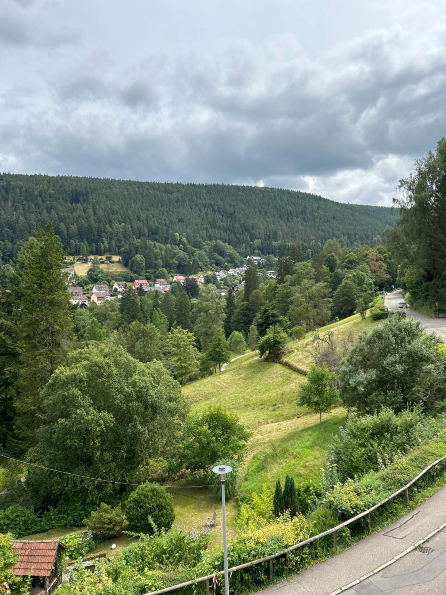 Appartamento Wohn-Eitel Romantik Bad Wildbad Esterno foto