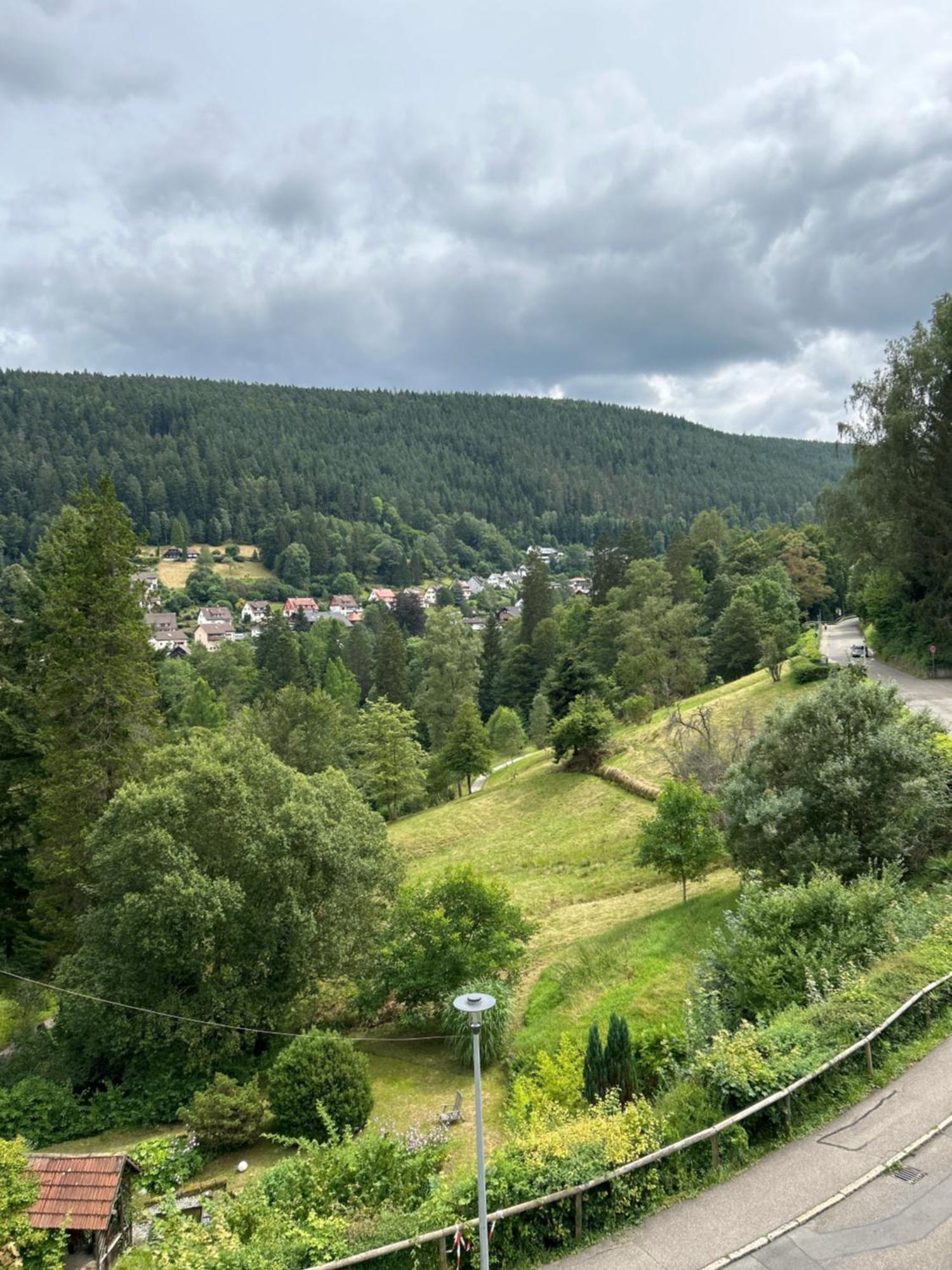 Wohn-Eitel Romantik Bad Wildbad Esterno foto