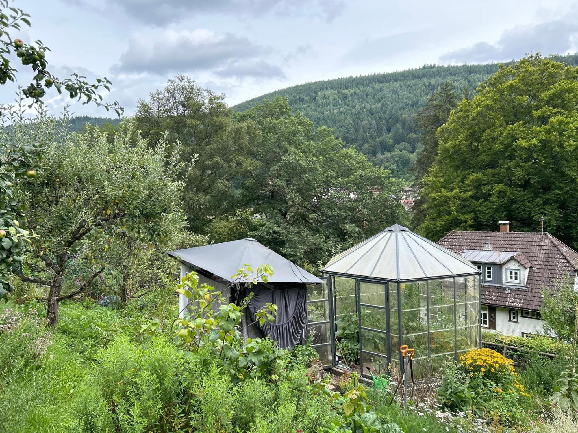 Appartamento Wohn-Eitel Romantik Bad Wildbad Esterno foto