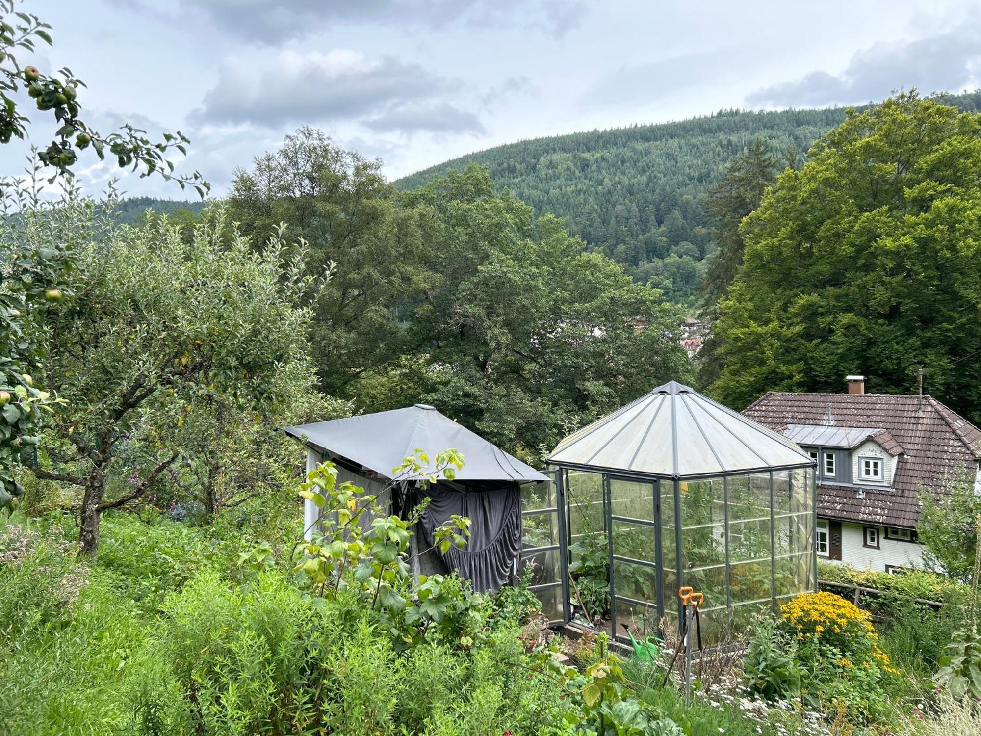 Wohn-Eitel Romantik Bad Wildbad Esterno foto