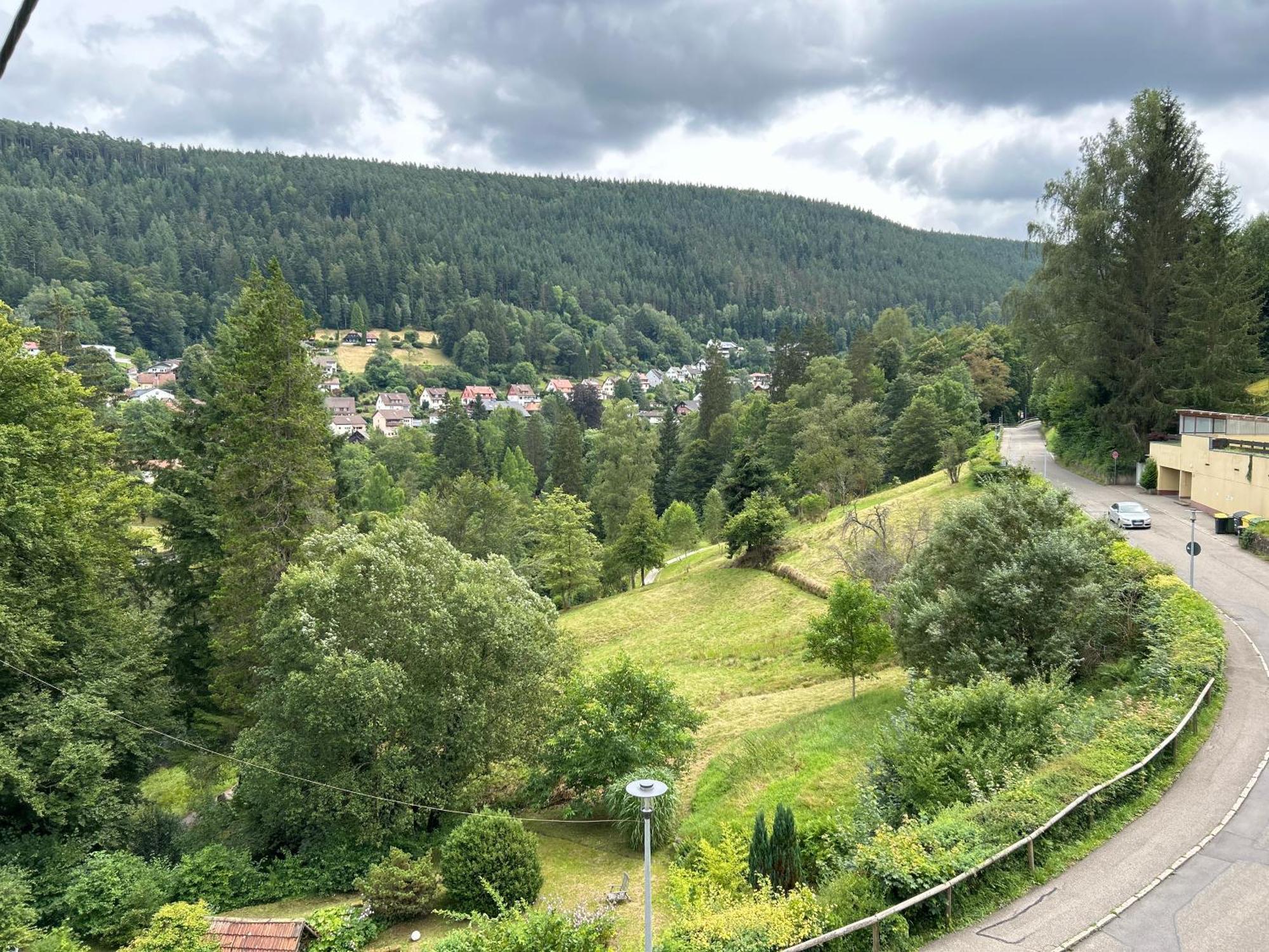 Appartamento Wohn-Eitel Romantik Bad Wildbad Esterno foto